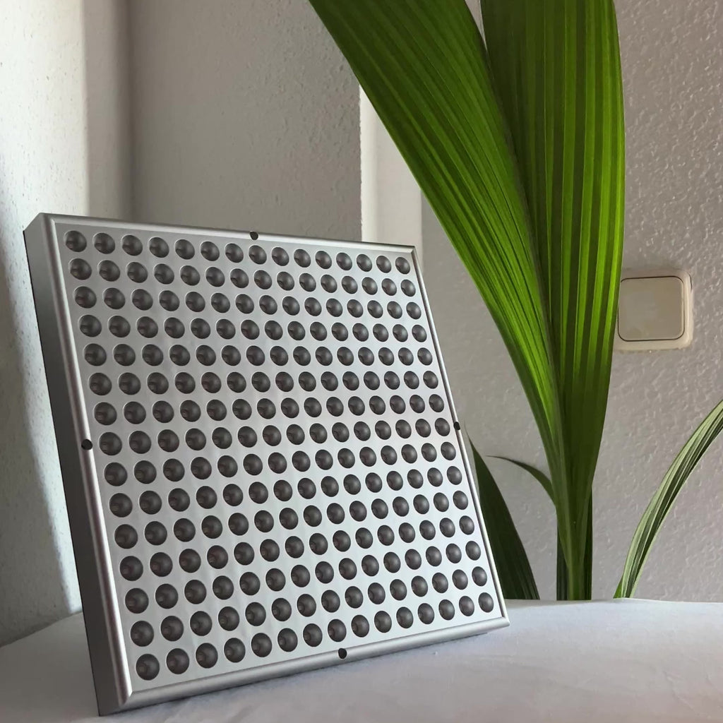 Panel Luz Roja 225 LED